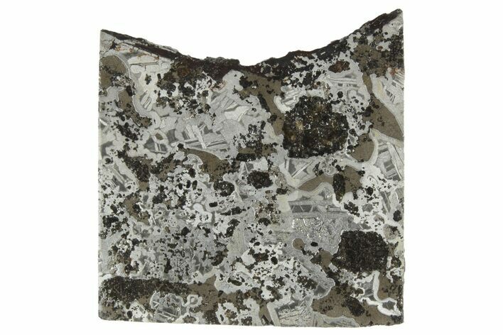 Polished Maslyanino Iron Meteorite Slice ( grams) - Russia #242963